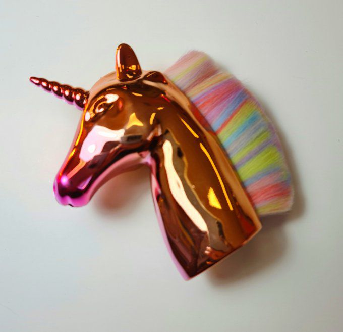 Pinceau Licorne