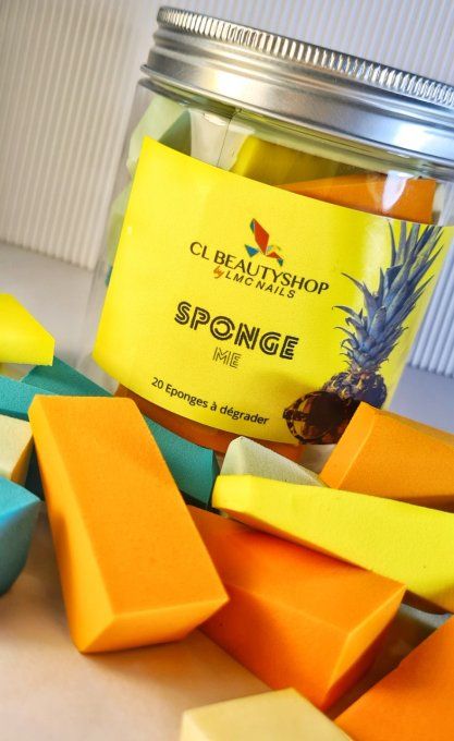 SPONGE ME Boite 20 éponges a dégrader 