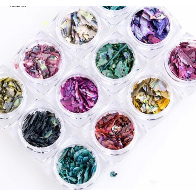 Set coquillage nacre 12pc